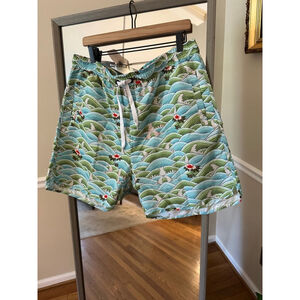 Novamen Swim Trunks Shorts Blue Green Mens